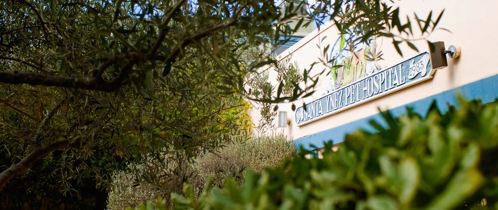 Veterinarian in Santa Ynez, CA